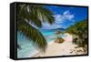 Palm Trees and Tropical Beach, La Digue, Seychelles-Jon Arnold-Framed Stretched Canvas