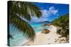 Palm Trees and Tropical Beach, La Digue, Seychelles-Jon Arnold-Stretched Canvas