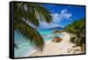 Palm Trees and Tropical Beach, La Digue, Seychelles-Jon Arnold-Framed Stretched Canvas