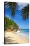 Palm Trees and Tropical Beach, La Digue, Seychelles-Jon Arnold-Stretched Canvas