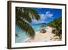 Palm Trees and Tropical Beach, La Digue, Seychelles-Jon Arnold-Framed Photographic Print