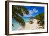 Palm Trees and Tropical Beach, La Digue, Seychelles-Jon Arnold-Framed Photographic Print