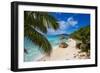 Palm Trees and Tropical Beach, La Digue, Seychelles-Jon Arnold-Framed Photographic Print