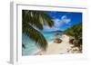 Palm Trees and Tropical Beach, La Digue, Seychelles-Jon Arnold-Framed Photographic Print