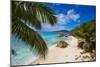 Palm Trees and Tropical Beach, La Digue, Seychelles-Jon Arnold-Mounted Photographic Print