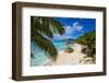 Palm Trees and Tropical Beach, La Digue, Seychelles-Jon Arnold-Framed Photographic Print