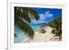 Palm Trees and Tropical Beach, La Digue, Seychelles-Jon Arnold-Framed Photographic Print