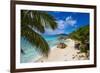 Palm Trees and Tropical Beach, La Digue, Seychelles-Jon Arnold-Framed Photographic Print