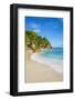 Palm Trees and Tropical Beach, La Digue, Seychelles-Jon Arnold-Framed Photographic Print