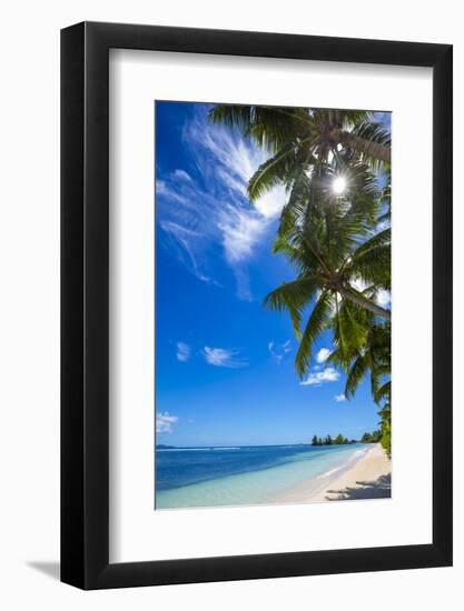 Palm Trees and Tropical Beach, La Digue, Seychelles-Jon Arnold-Framed Photographic Print