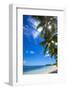 Palm Trees and Tropical Beach, La Digue, Seychelles-Jon Arnold-Framed Photographic Print