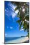 Palm Trees and Tropical Beach, La Digue, Seychelles-Jon Arnold-Mounted Photographic Print