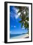 Palm Trees and Tropical Beach, La Digue, Seychelles-Jon Arnold-Framed Photographic Print