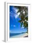 Palm Trees and Tropical Beach, La Digue, Seychelles-Jon Arnold-Framed Photographic Print