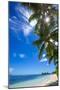 Palm Trees and Tropical Beach, La Digue, Seychelles-Jon Arnold-Mounted Photographic Print