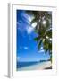 Palm Trees and Tropical Beach, La Digue, Seychelles-Jon Arnold-Framed Photographic Print