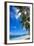 Palm Trees and Tropical Beach, La Digue, Seychelles-Jon Arnold-Framed Photographic Print