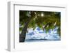 Palm Trees and Tropical Beach, La Digue, Seychelles-Jon Arnold-Framed Photographic Print