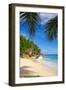 Palm Trees and Tropical Beach, La Digue, Seychelles-Jon Arnold-Framed Photographic Print