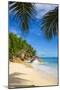 Palm Trees and Tropical Beach, La Digue, Seychelles-Jon Arnold-Mounted Photographic Print