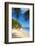 Palm Trees and Tropical Beach, La Digue, Seychelles-Jon Arnold-Framed Photographic Print