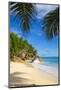 Palm Trees and Tropical Beach, La Digue, Seychelles-Jon Arnold-Mounted Photographic Print