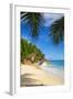 Palm Trees and Tropical Beach, La Digue, Seychelles-Jon Arnold-Framed Photographic Print