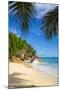 Palm Trees and Tropical Beach, La Digue, Seychelles-Jon Arnold-Mounted Photographic Print