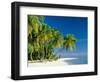 Palm Trees and Tropical Beach, Maldive Islands, Indian Ocean-Steve Vidler-Framed Photographic Print