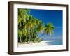 Palm Trees and Tropical Beach, Maldive Islands, Indian Ocean-Steve Vidler-Framed Photographic Print