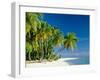 Palm Trees and Tropical Beach, Maldive Islands, Indian Ocean-Steve Vidler-Framed Photographic Print