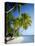 Palm Trees and Tropical Beach, Maldive Islands, Indian Ocean-Steve Vidler-Stretched Canvas