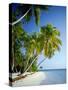 Palm Trees and Tropical Beach, Maldive Islands, Indian Ocean-Steve Vidler-Stretched Canvas