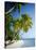 Palm Trees and Tropical Beach, Maldive Islands, Indian Ocean-Steve Vidler-Stretched Canvas