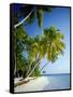 Palm Trees and Tropical Beach, Maldive Islands, Indian Ocean-Steve Vidler-Framed Stretched Canvas