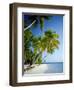 Palm Trees and Tropical Beach, Maldive Islands, Indian Ocean-Steve Vidler-Framed Photographic Print