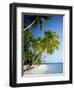 Palm Trees and Tropical Beach, Maldive Islands, Indian Ocean-Steve Vidler-Framed Photographic Print