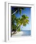 Palm Trees and Tropical Beach, Maldive Islands, Indian Ocean-Steve Vidler-Framed Photographic Print