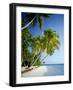 Palm Trees and Tropical Beach, Maldive Islands, Indian Ocean-Steve Vidler-Framed Photographic Print