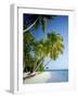 Palm Trees and Tropical Beach, Maldive Islands, Indian Ocean-Steve Vidler-Framed Photographic Print