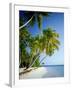 Palm Trees and Tropical Beach, Maldive Islands, Indian Ocean-Steve Vidler-Framed Photographic Print