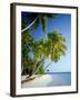 Palm Trees and Tropical Beach, Maldive Islands, Indian Ocean-Steve Vidler-Framed Photographic Print