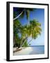 Palm Trees and Tropical Beach, Maldive Islands, Indian Ocean-Steve Vidler-Framed Photographic Print