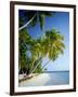 Palm Trees and Tropical Beach, Maldive Islands, Indian Ocean-Steve Vidler-Framed Photographic Print