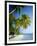 Palm Trees and Tropical Beach, Maldive Islands, Indian Ocean-Steve Vidler-Framed Photographic Print