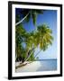 Palm Trees and Tropical Beach, Maldive Islands, Indian Ocean-Steve Vidler-Framed Photographic Print