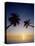 Palm Trees and Tropical Beach, Maldive Islands, Indian Ocean-Steve Vidler-Stretched Canvas