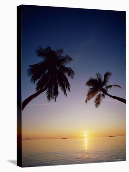 Palm Trees and Tropical Beach, Maldive Islands, Indian Ocean-Steve Vidler-Stretched Canvas