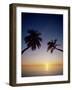 Palm Trees and Tropical Beach, Maldive Islands, Indian Ocean-Steve Vidler-Framed Photographic Print