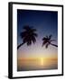 Palm Trees and Tropical Beach, Maldive Islands, Indian Ocean-Steve Vidler-Framed Photographic Print